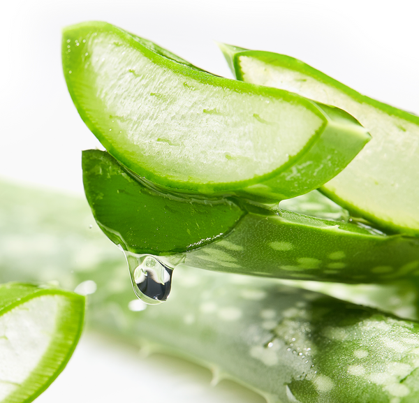 Aloe vera-gel