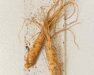 Ginseng Essence Water - K - Town Norway