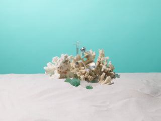 Seleve Glow Cavair Ampoule - K - Town Norway